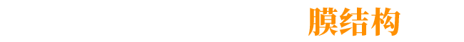 山东朐艺膜结构工程有限公司